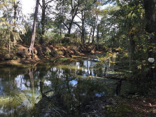431 Us Hwy 431, Eufaula, AL 36027